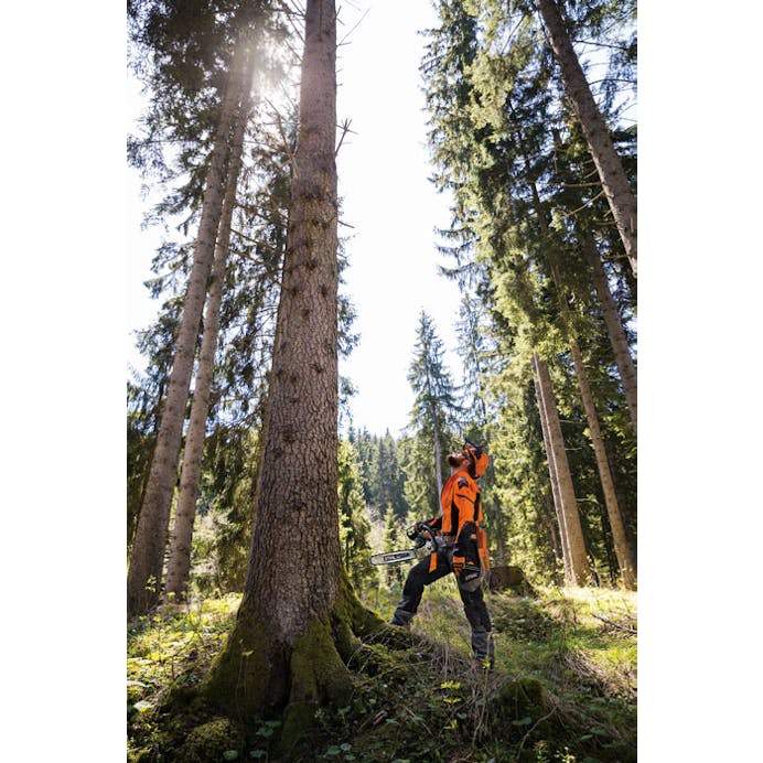 458cce31-3b9c-4aea-b8e3-08dd7dabaef6